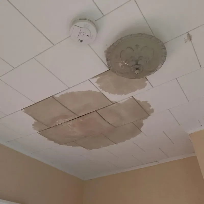 Ceiling Water Damage Repair in Lake Darby, OH