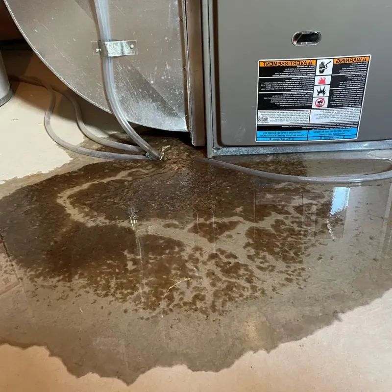 Pipe Burst and Leak Restoration in Lake Darby, OH