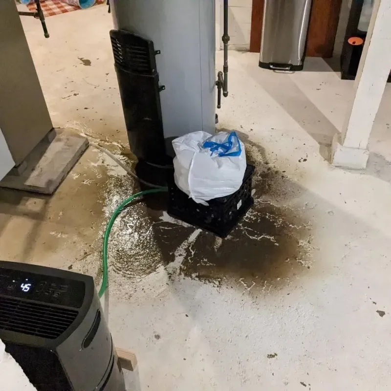 Sewage Backup Cleanup Service in Lake Darby, OH